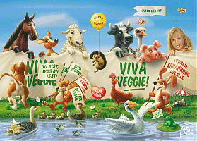 Viva Veggie - Buch